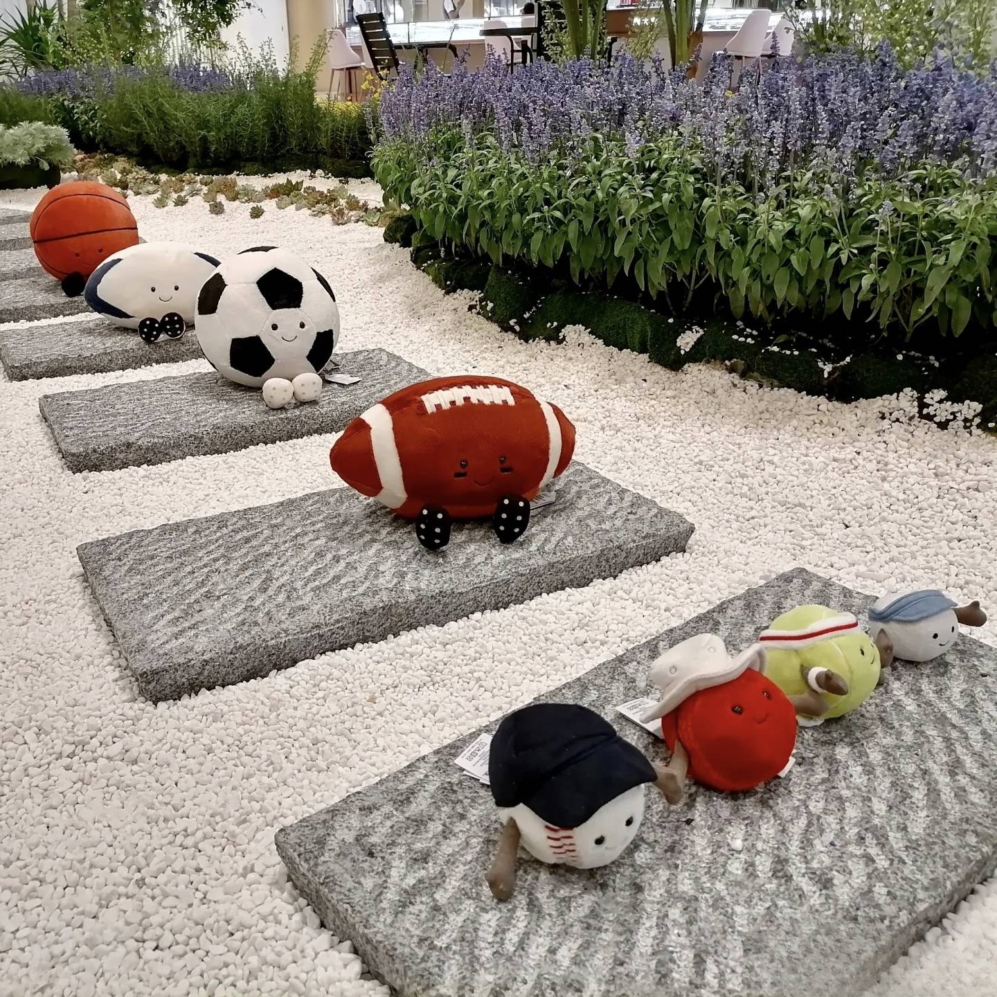 ♪ Fun ball series of tennis football basketball football football football football football ♪