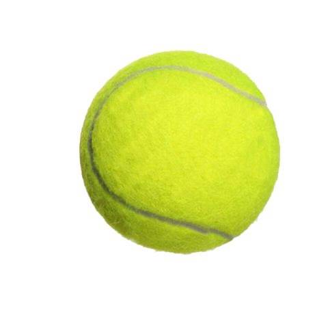 Tennis beginner high elastic beat -to -wear -resistant junior high -level junior high -level professional tennis pet ball massage training tennis