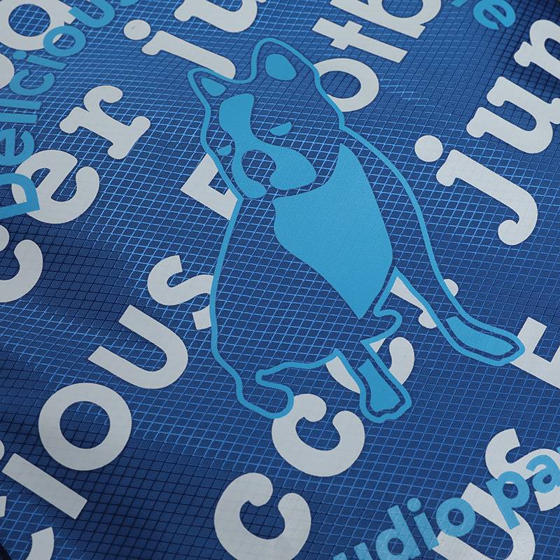 Soccer Junky Football Dog Small Shoe Bag Waterproof Pumping Stripper Sports Backpack Backpack Pulling Pocket Pocket