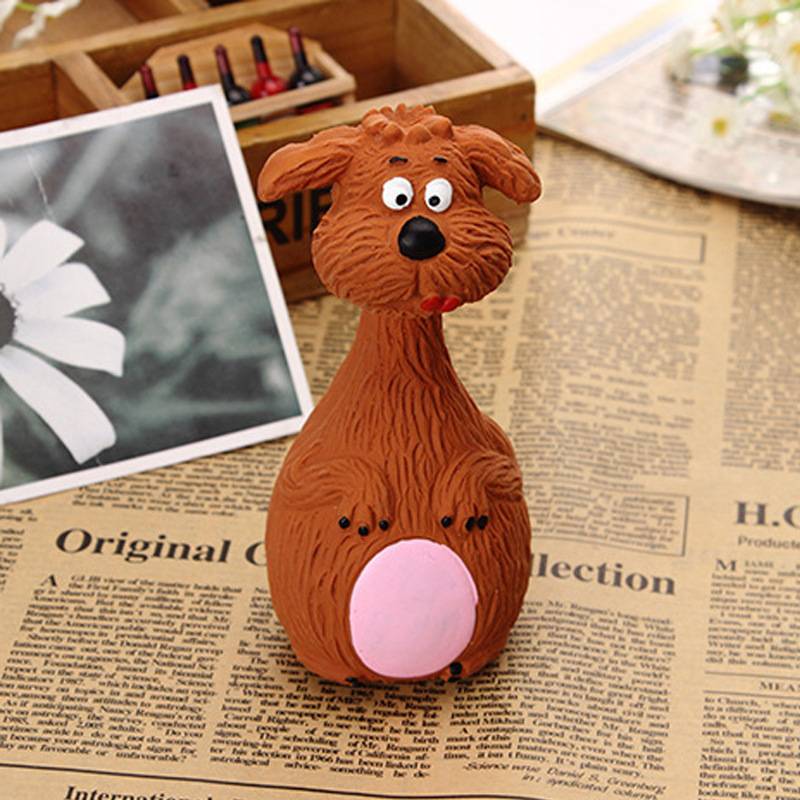 Brown puppy