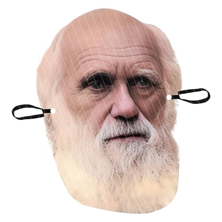 Darwin A
