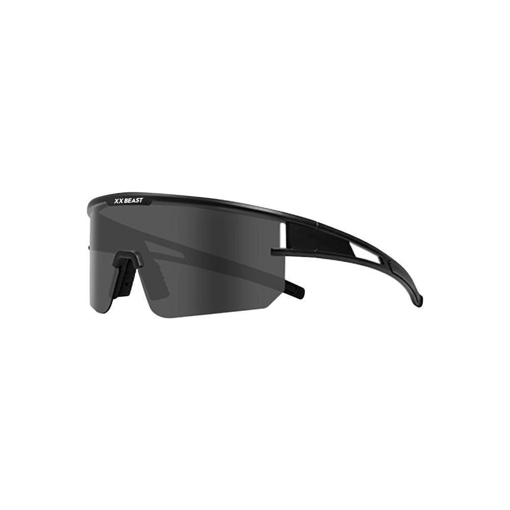 Gray polarized glasses