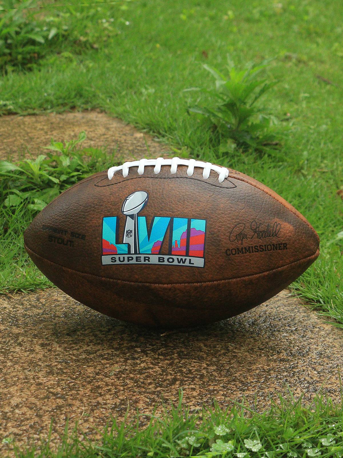 American rugby counter genuine 9 adult game 6#3#Student children's ball NFL gold shield pink blue