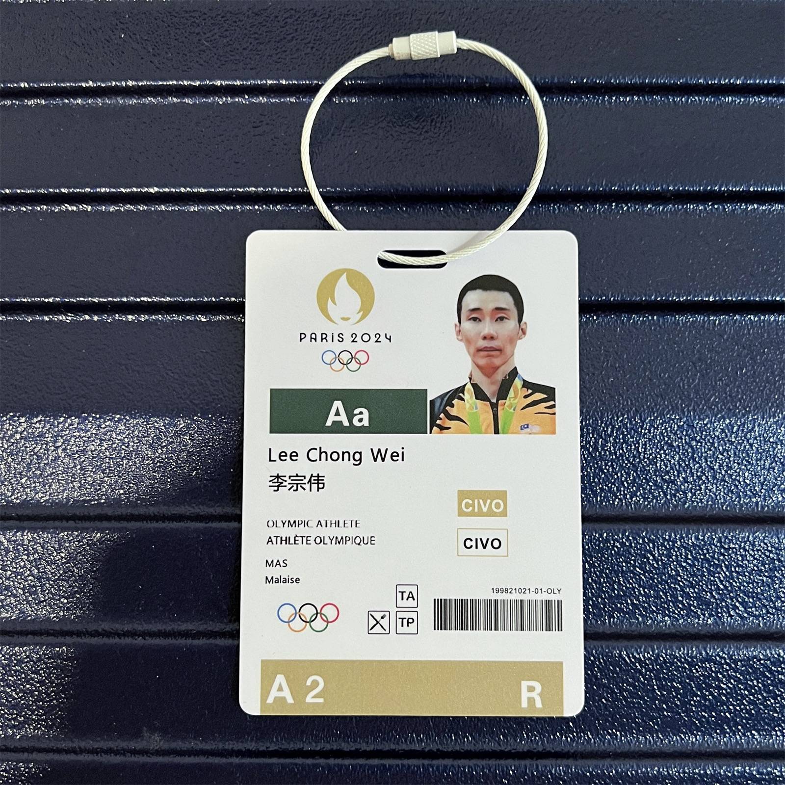 Li Zongwei (send a protective cover)