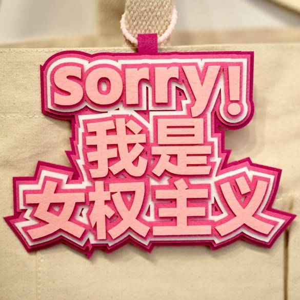 sorry!I am feminist (send lane rope)