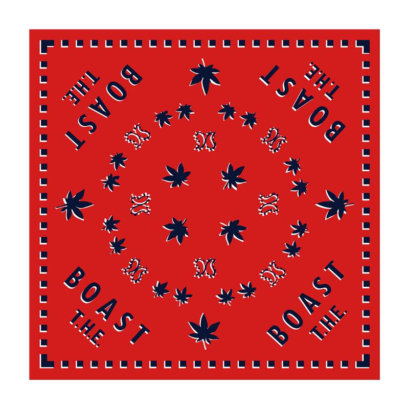 Red maple leaf