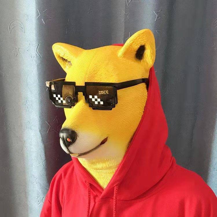 Yellow dog head cover+sunglasses