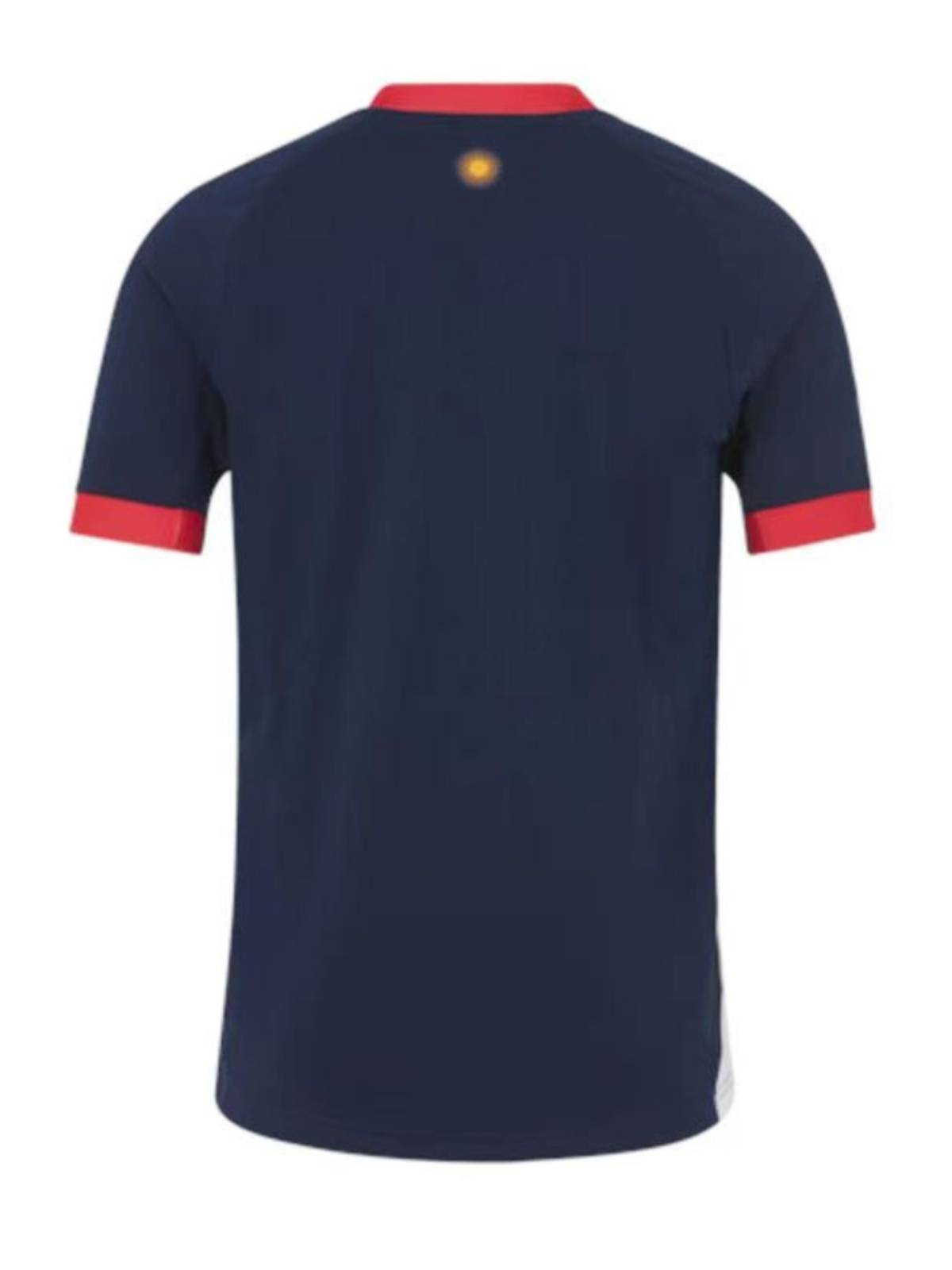 RWC 2023 World Cup Argentine Main and guest rugby jersey World Cup Rugby Jersey