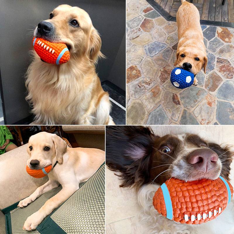 Dog toy toy, bite the golden wool ball, the pastoral pets training grinding puppies big dog Labrado supplies