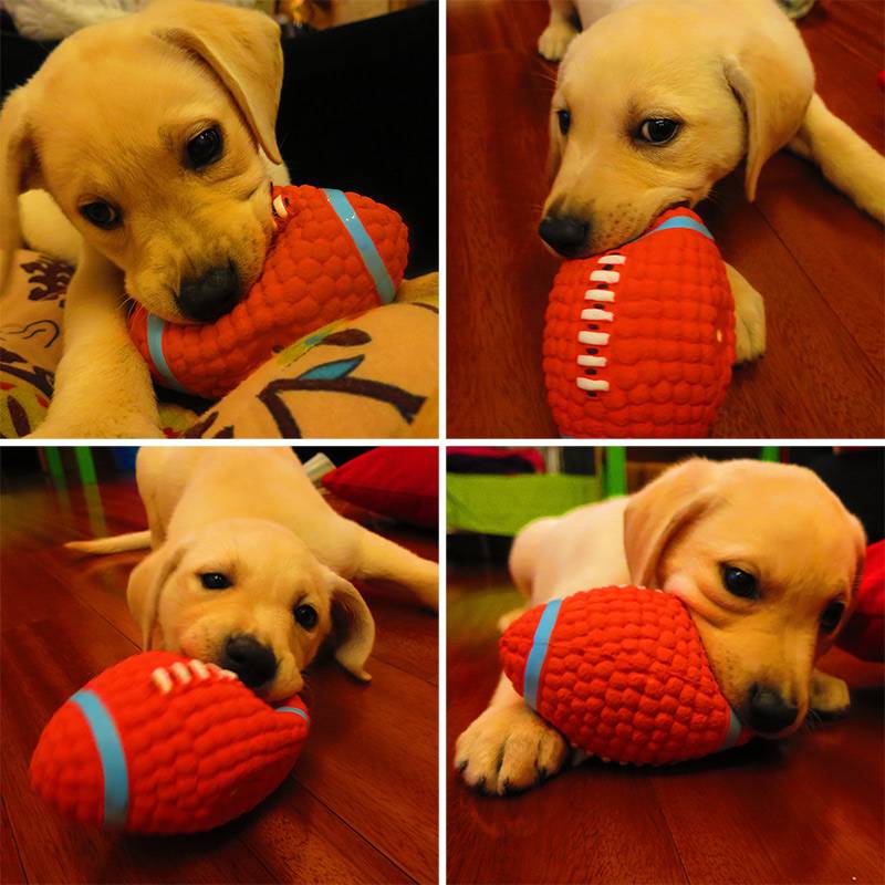 Dog toy toy, bite the golden wool ball, the pastoral pets training grinding puppies big dog Labrado supplies