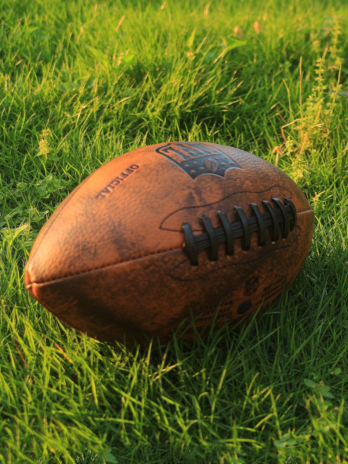 American Rugby No. 3 Children No. 6 Youth No. 9 Adult Competition Training Retro NFL Bulfin Banner Customization
