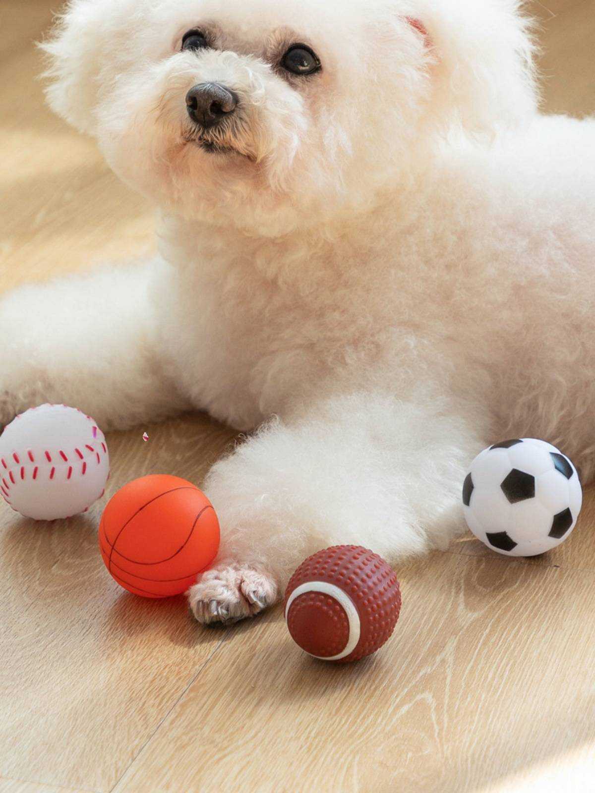 Pet toy basketball football rugby tennis latex, throwing, biting, sound solution stuffy dog toy