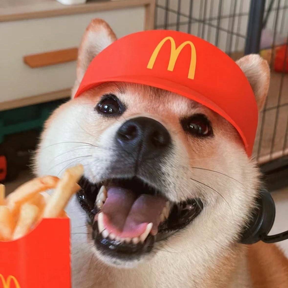 The McDonald's hat and the walkie-talkie hats are so cute, they're so weird
