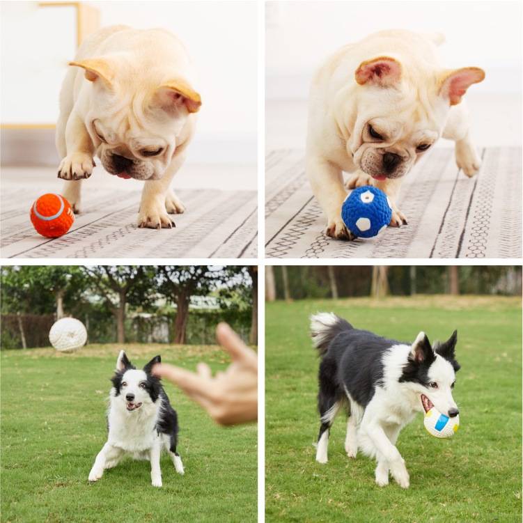 Dog toys vocalization, biting and dissolved stuffy artifacts, rugby grinding teeth, small medium -sized dog training ball pet supplies