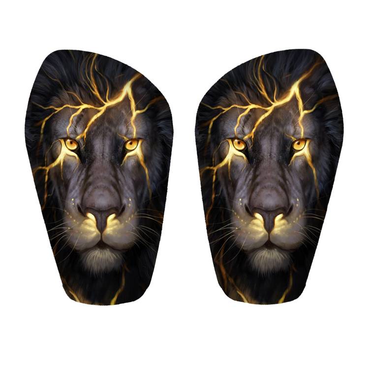 New lion