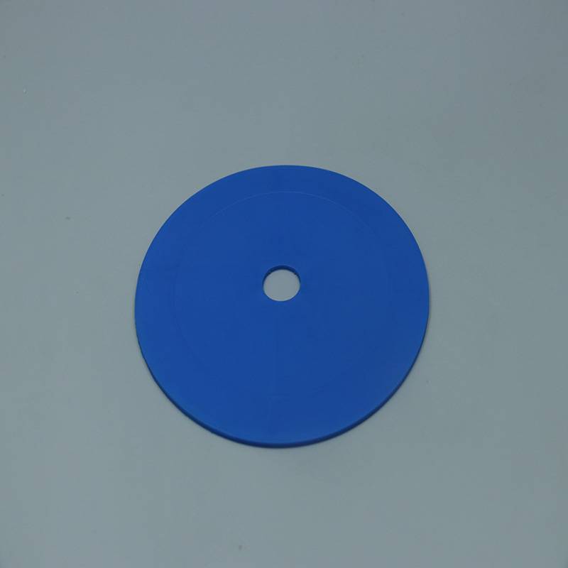 Thicked non -slip plane logo disc 10 blue