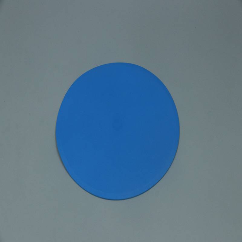 23 cm flat logo disc 10 blue