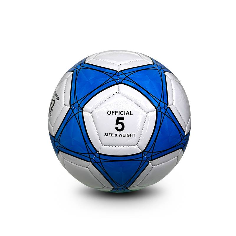 Football Children's Primary School No. 5 Adult Youth Professional Training Balls Soft Leather Machine Stitching Abrasion and Kick