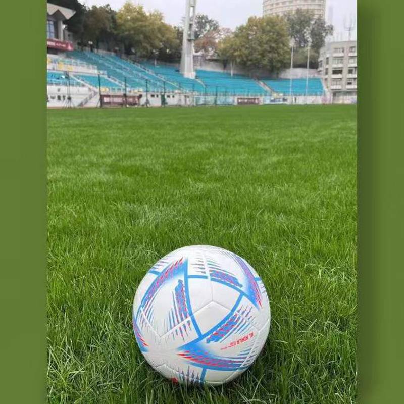 Adidas Qatar World Cup No. 4 Special game H57786