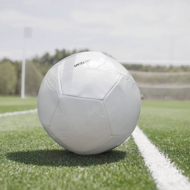 Nike/Nike Football No. 5 Ball Adult Children's Training Competition Special ball 5 DH9796-100