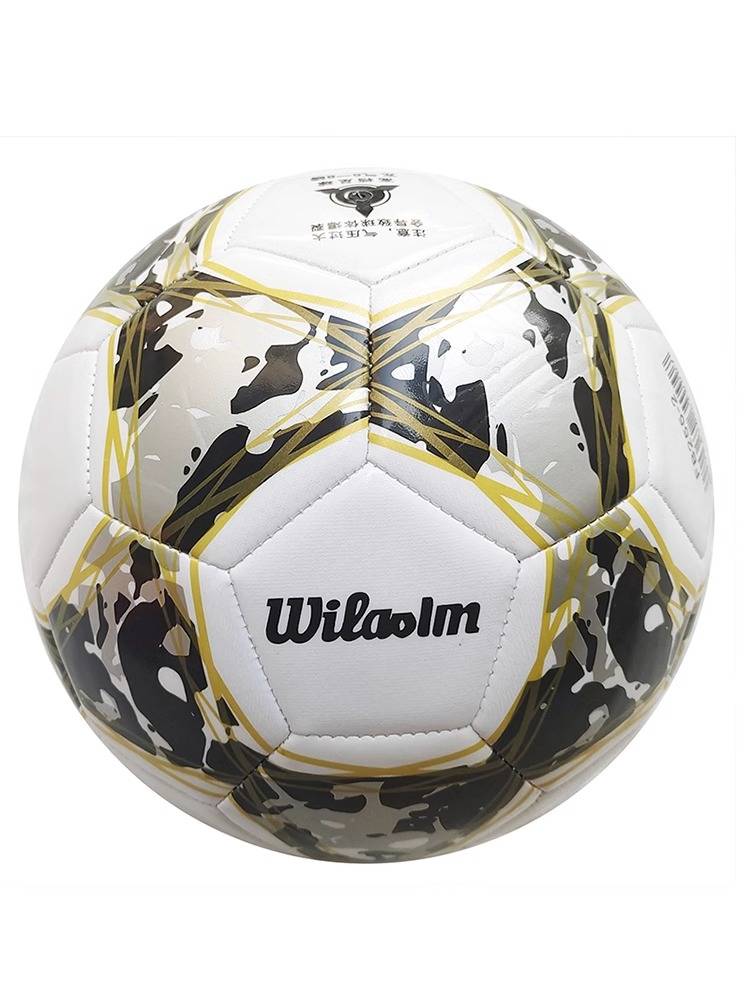 Lion Teng Football Children's Primary School Student Special Ball No. 3 Kindergarten No. 5 Junior High School Entrance Examination for Junior High School Entrance Examination