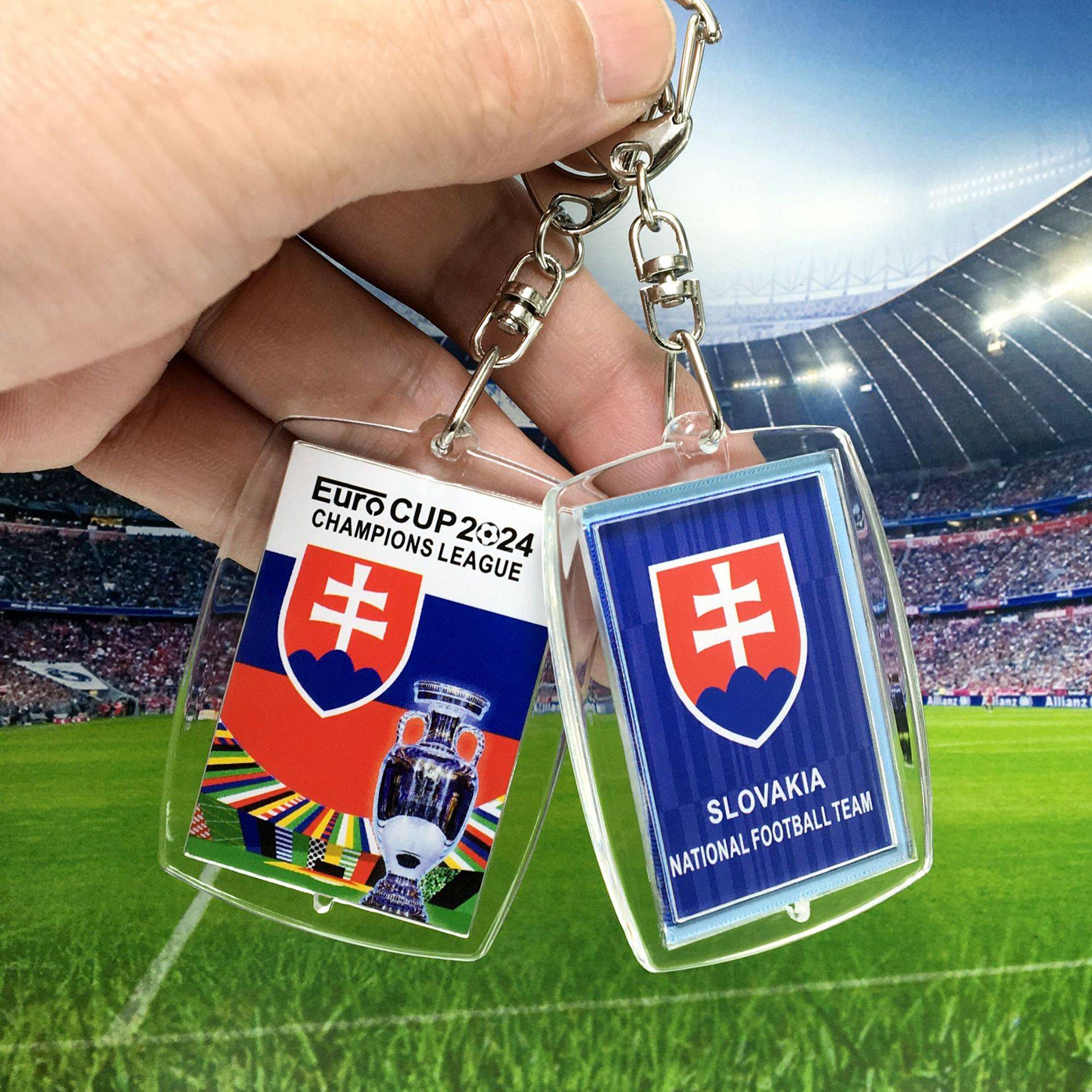 2024 European Cup 24-Slovakia National Team