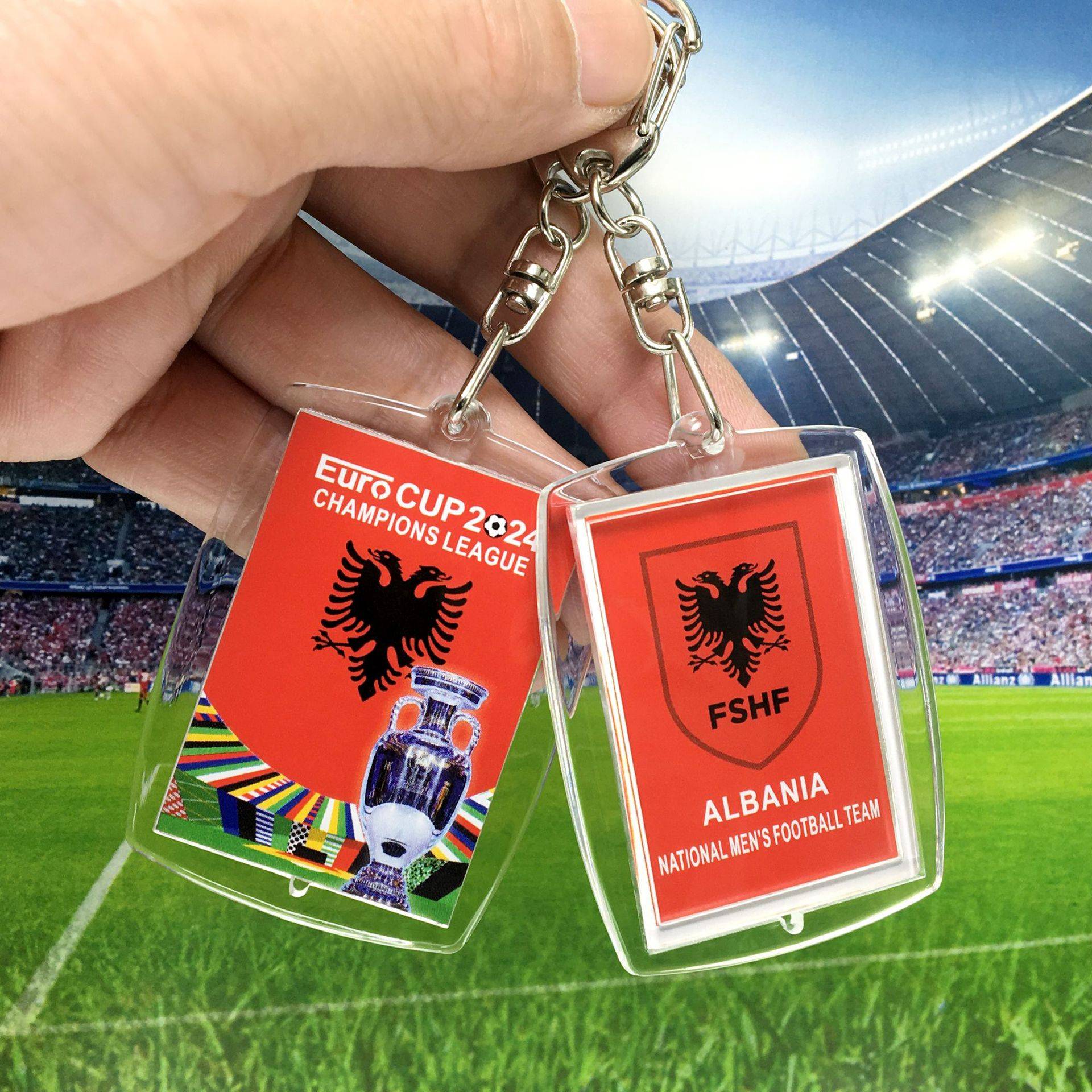 2024 European Cup 24-Albania State
