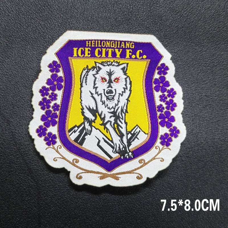 Heilongjiang Bingcheng Embroidery Team Emblem