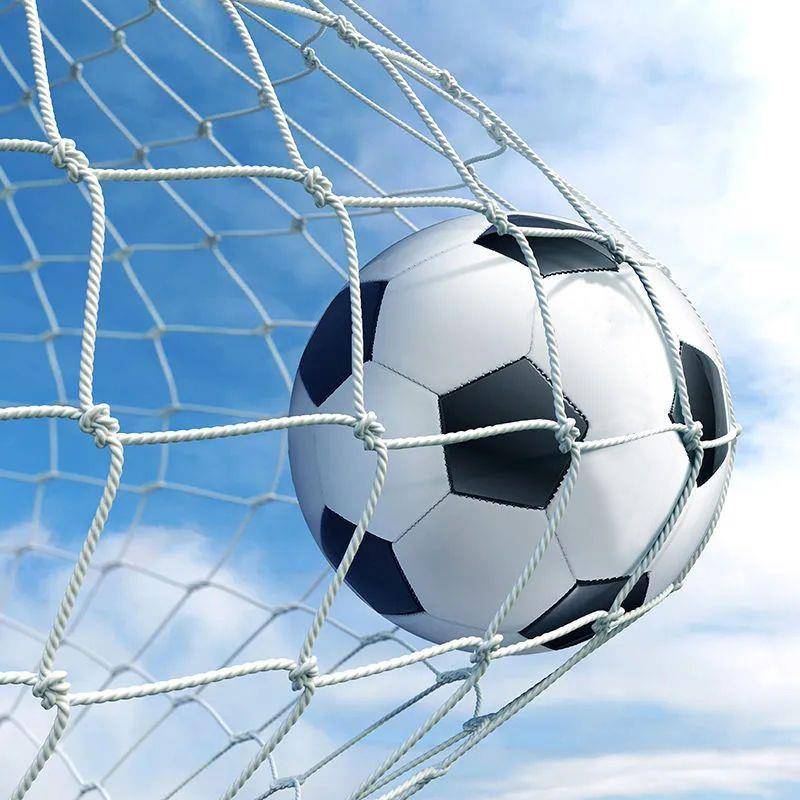 Xinjiang Teacher Recommend the game Special Football No. 3 No. 3 Primary and Secondary Student Kindergarten Adult Training