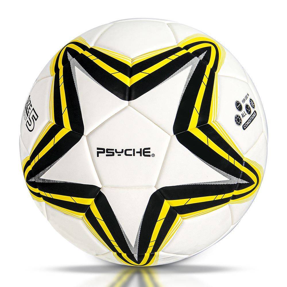 Golden Feather Football Standard Genuine Competition Special Gift World Cup No. 45 Middle Entrance Examination Student Special Ball
