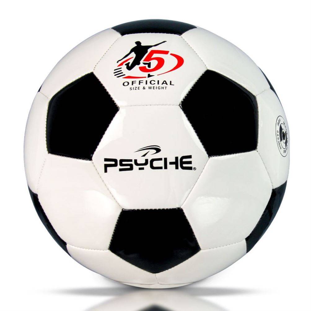 Golden Feather Football Standard Genuine Competition Special Gift World Cup No. 45 Middle Entrance Examination Student Special Ball