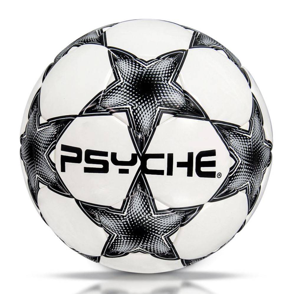 Golden Feather Football Standard Genuine Competition Special Gift World Cup No. 45 Middle Entrance Examination Student Special Ball