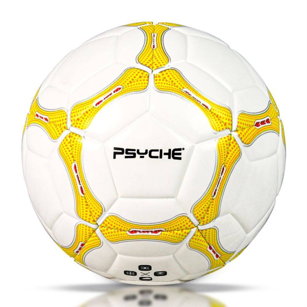 Golden Feather Football Standard Genuine Competition Special Gift World Cup No. 45 Middle Entrance Examination Student Special Ball