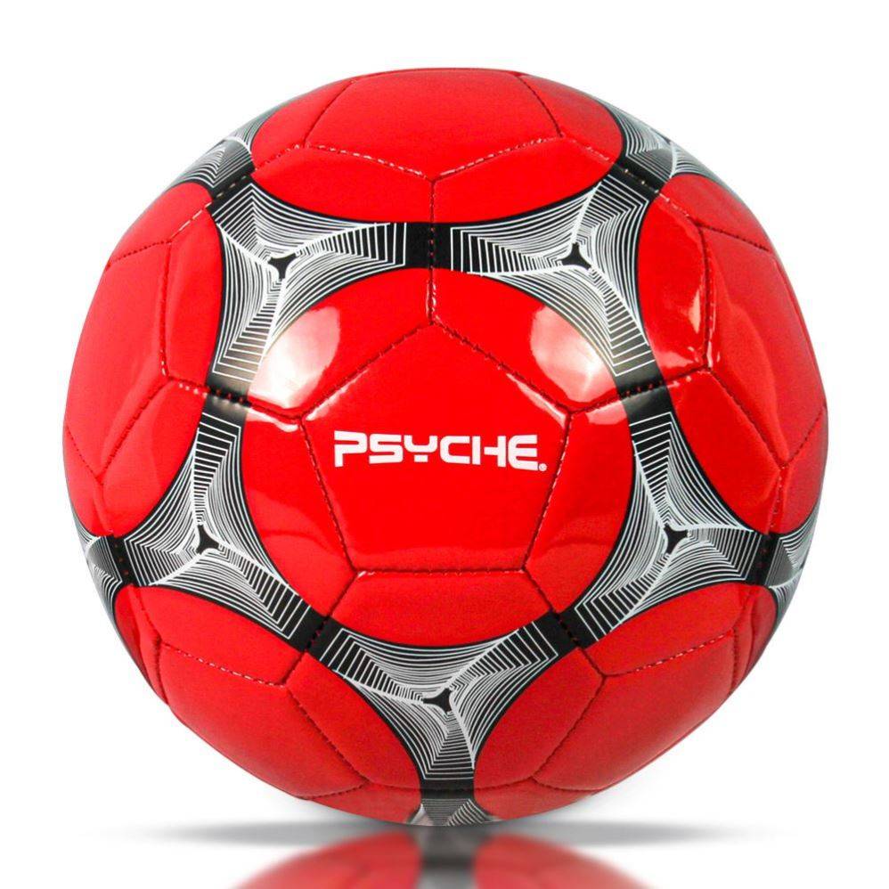 Golden Feather Football Standard Genuine Competition Special Gift World Cup No. 45 Middle Entrance Examination Student Special Ball