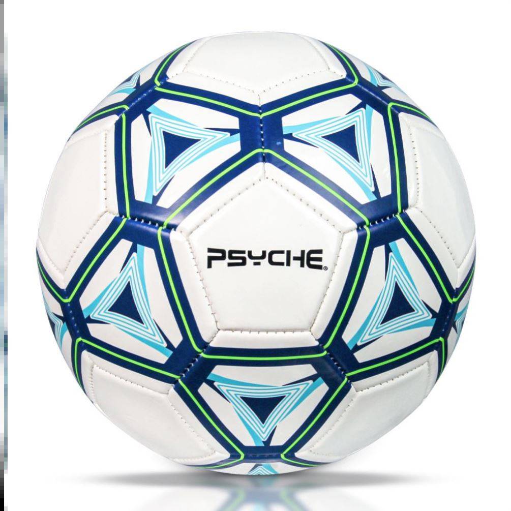 Golden Feather Football Standard Genuine Competition Special Gift World Cup No. 45 Middle Entrance Examination Student Special Ball