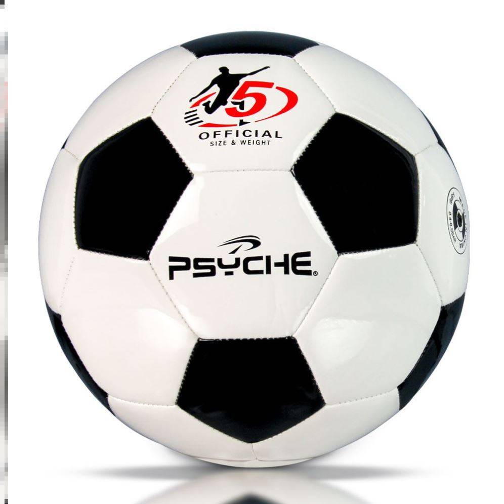 Golden Feather Football Standard Genuine Competition Special Gift World Cup No. 45 Middle Entrance Examination Student Special Ball