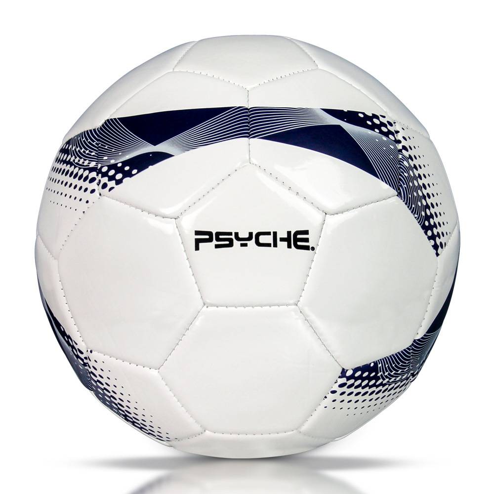 Golden Feather Football Standard Genuine Competition Special Gift World Cup No. 45 Middle Entrance Examination Student Special Ball