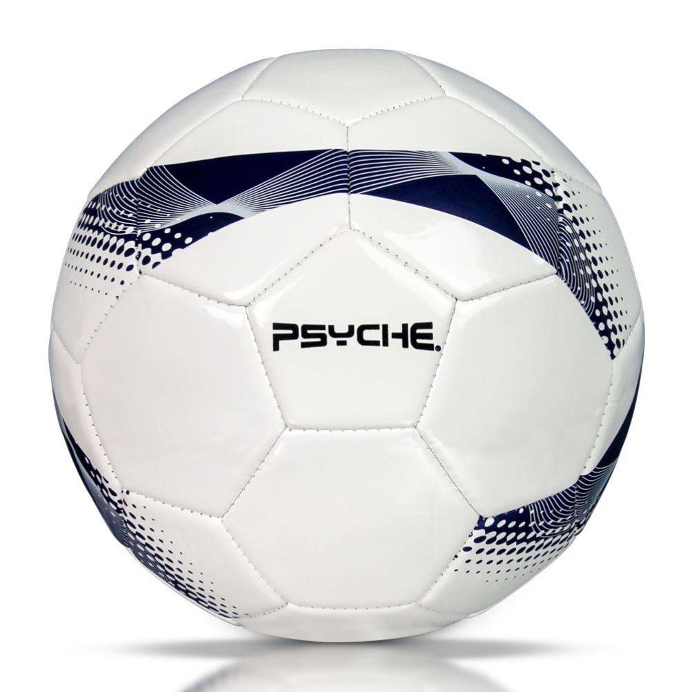 Golden Feather Football Standard Genuine Competition Special Gift World Cup No. 45 Middle Entrance Examination Student Special Ball