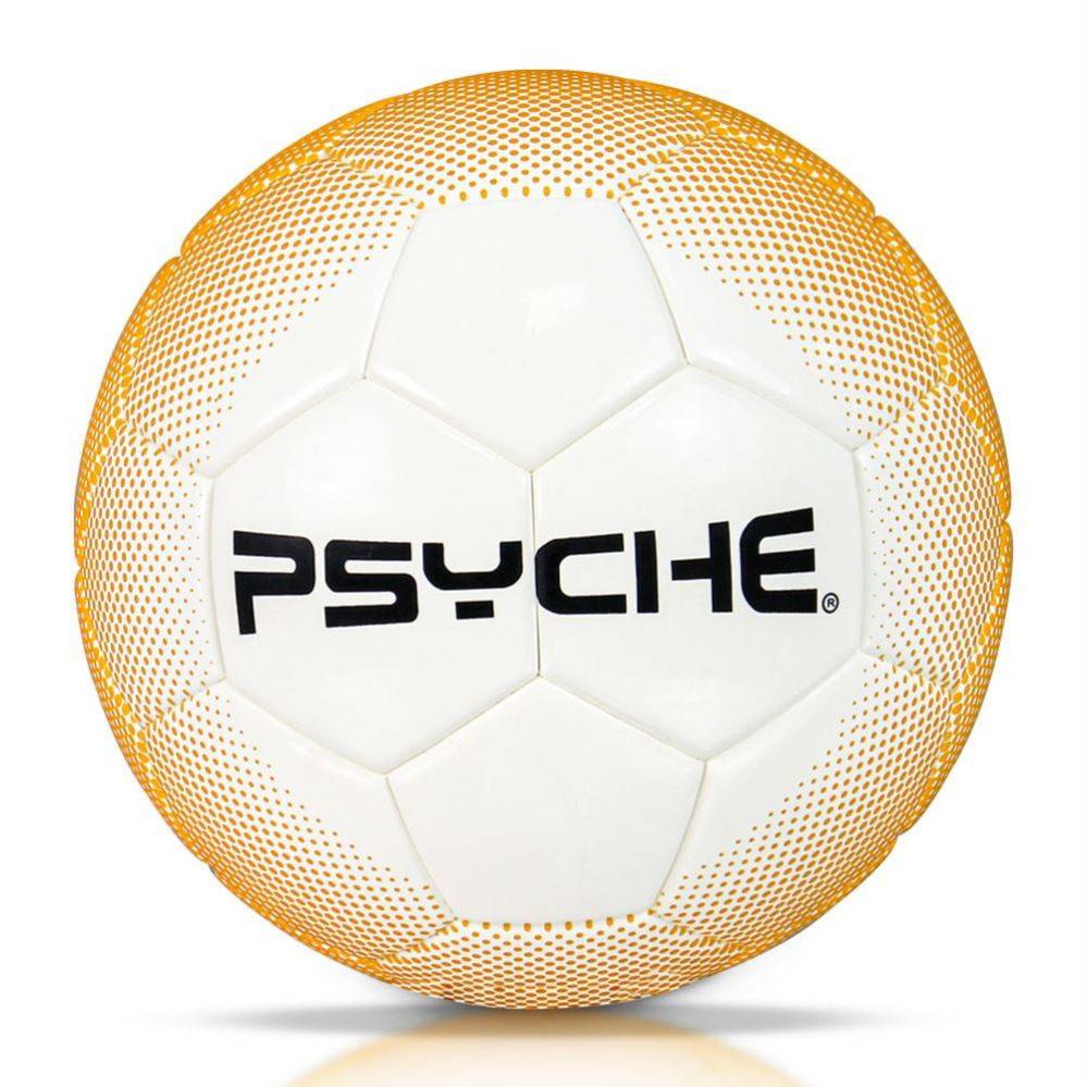 Golden Feather Football Standard Genuine Competition Special Gift World Cup No. 45 Middle Entrance Examination Student Special Ball