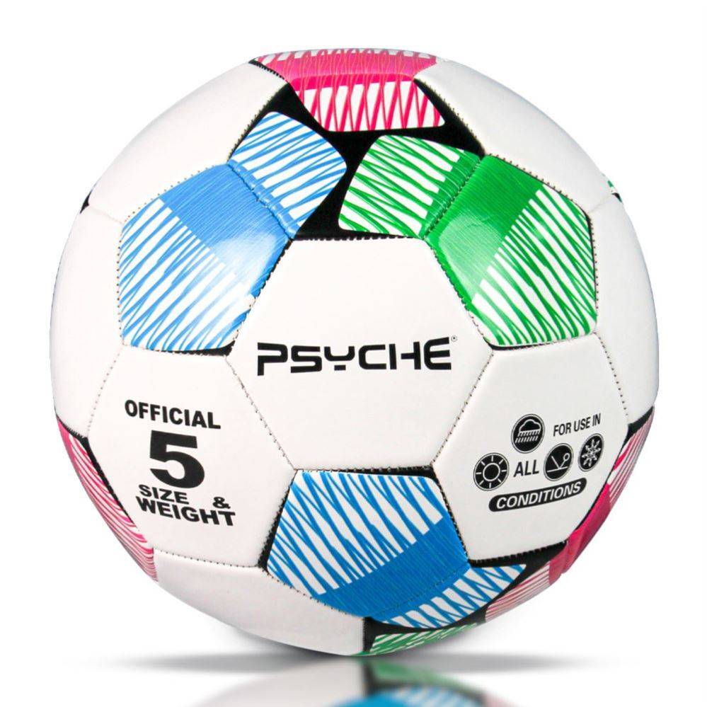Golden Feather Football Standard Genuine Competition Special Gift World Cup No. 45 Middle Entrance Examination Student Special Ball