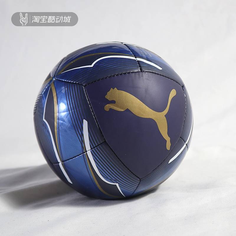 Puma PUMA Italian Dortmund Manchester City Memorial Mini No. 1 toy football ball 083347