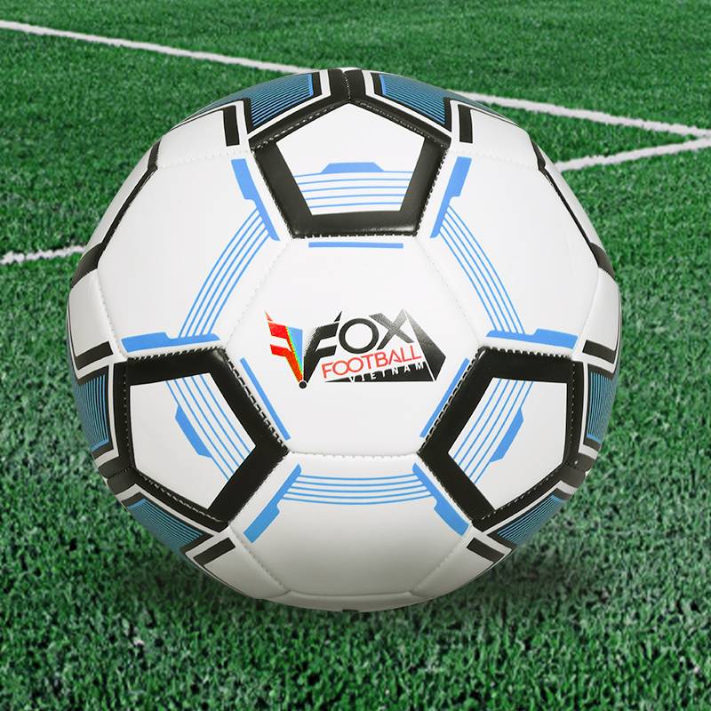 No. 5 Football Middle School Student No. 4 Junior Middle School students recruit sports examination training standards No. 45