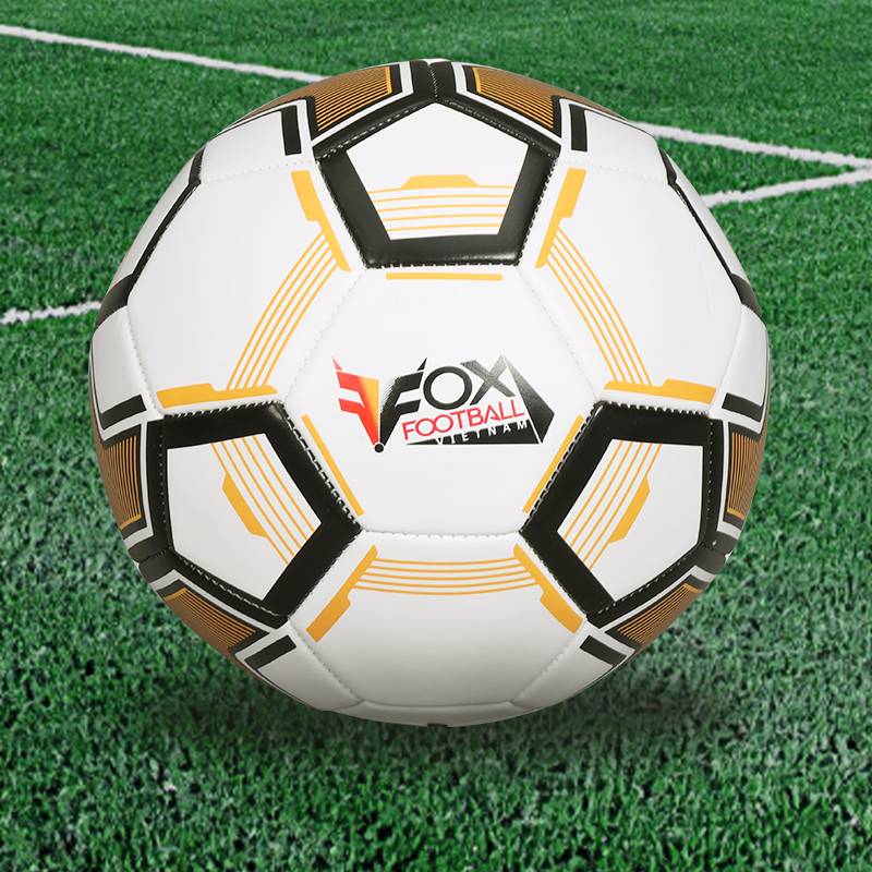 No. 5 Football Middle School Student No. 4 Junior Middle School students recruit sports examination training standards No. 45