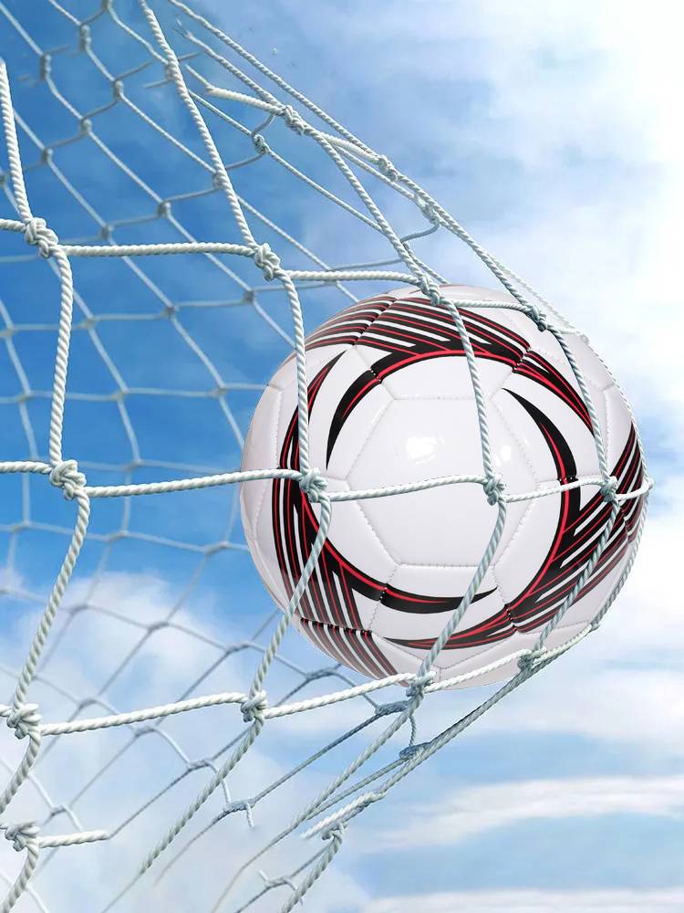 Football No. 5 Genuine Youth Competition No. 4 Middle School Entrance Examination Primary School Children Training Explosion -proof No. 3 soft leather