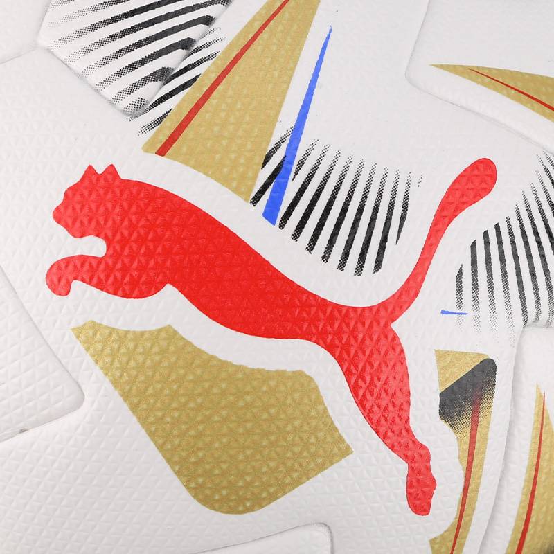 Little Plum: PUMA/Puma America Cup A Finals Ball No. 5 Football Adult Male 084494 02