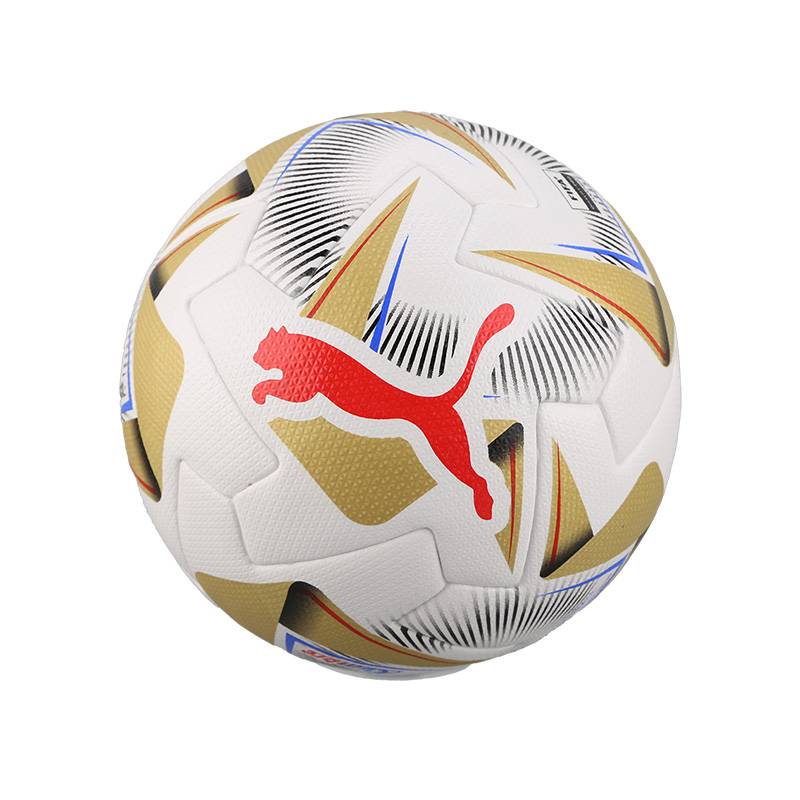 Little Plum: PUMA/Puma America Cup A Finals Ball No. 5 Football Adult Male 084494 02