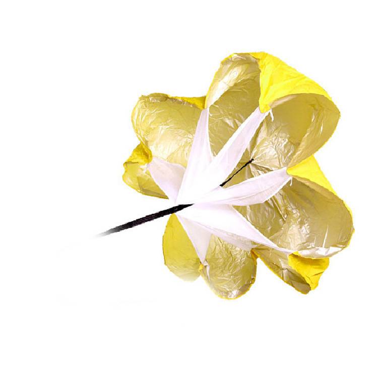 (Single Umbrella) Yellow