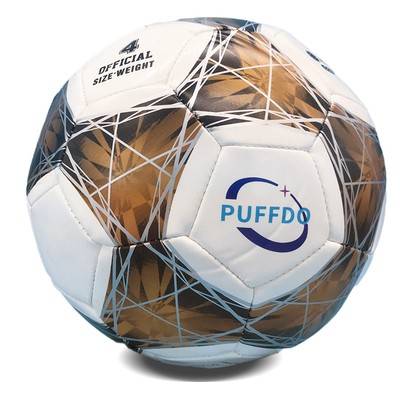 Children's Football Primary School Student Special Ball No. 4 5 Kindergarten Entrance Examination Student Training Competition