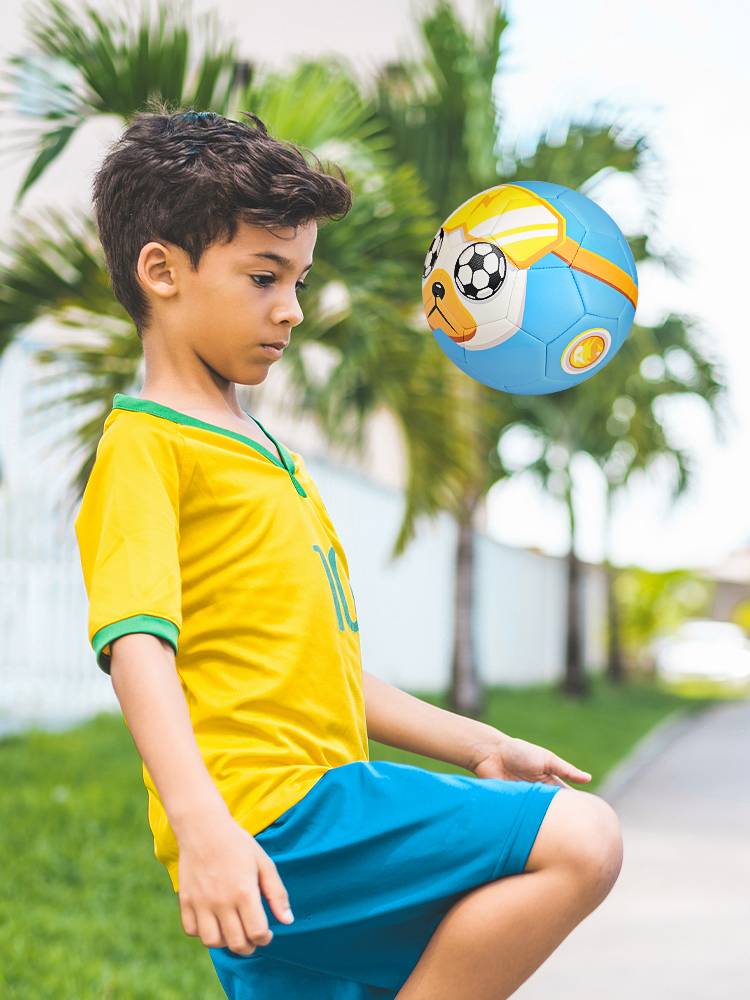 Little Plum: Li Zhisu Football Leisure Training Cartoon No. 3 Football Dog Corps Children and Male