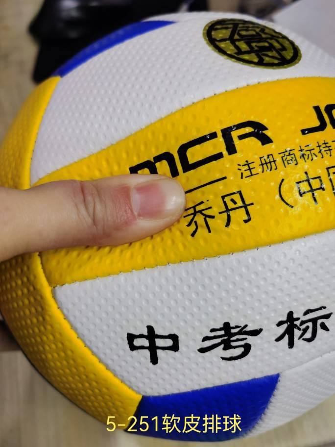 Jordan PU soft leather volleyball 5-251+pumping cylinder bag